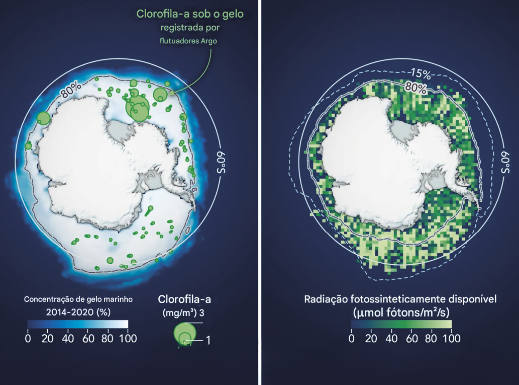 Com_base_em_dados_de_instrumentos_subaqu_ticos_e_modelos_clim_ticos_o_mapa_da “Colapso da criosfera”