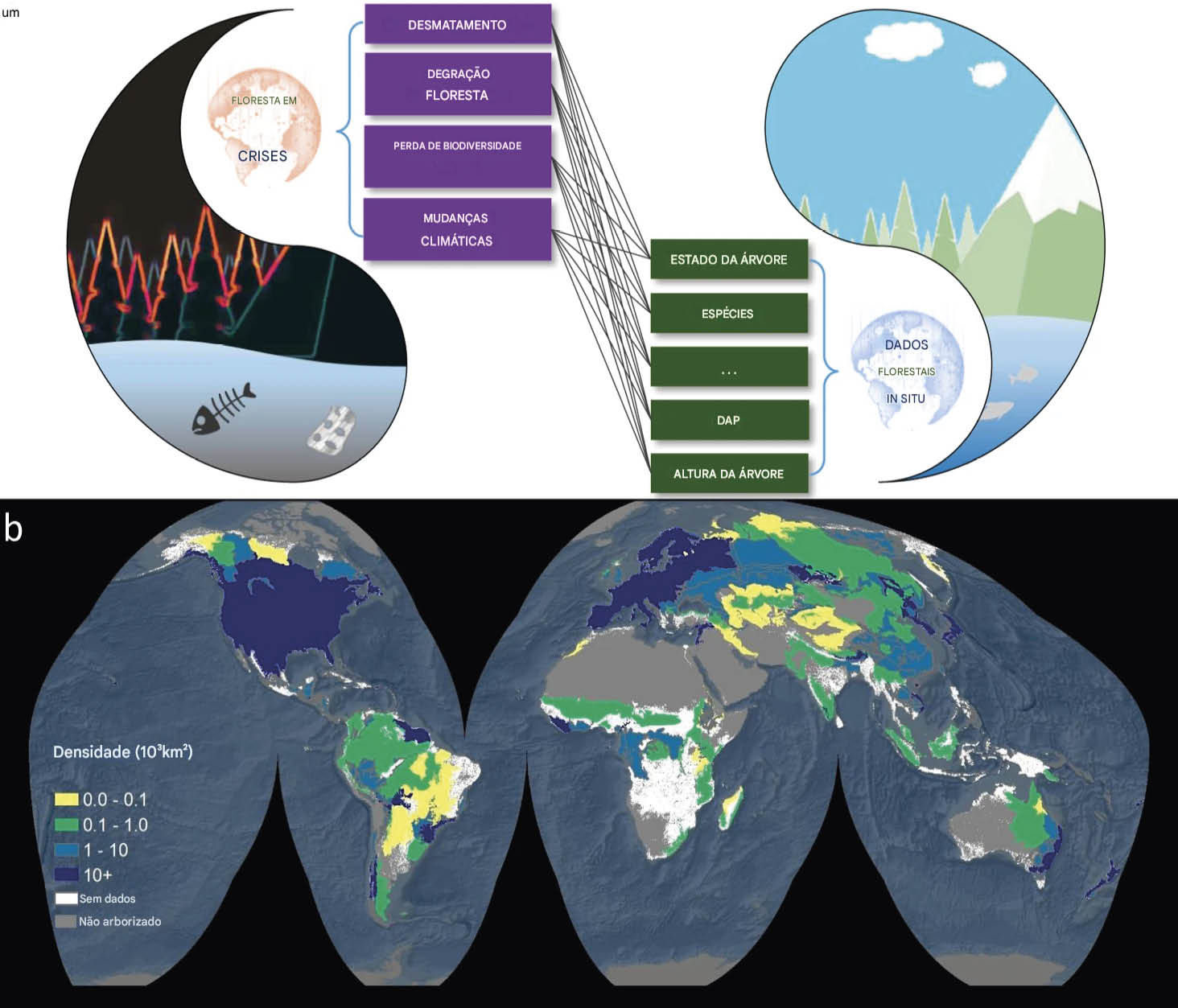 Dados florestais abertos in situ são essenciais para o monitoramento e a mitigação do desmatamento, da degradação florestal, da perda de biodiversidade e das mudanças climáticas