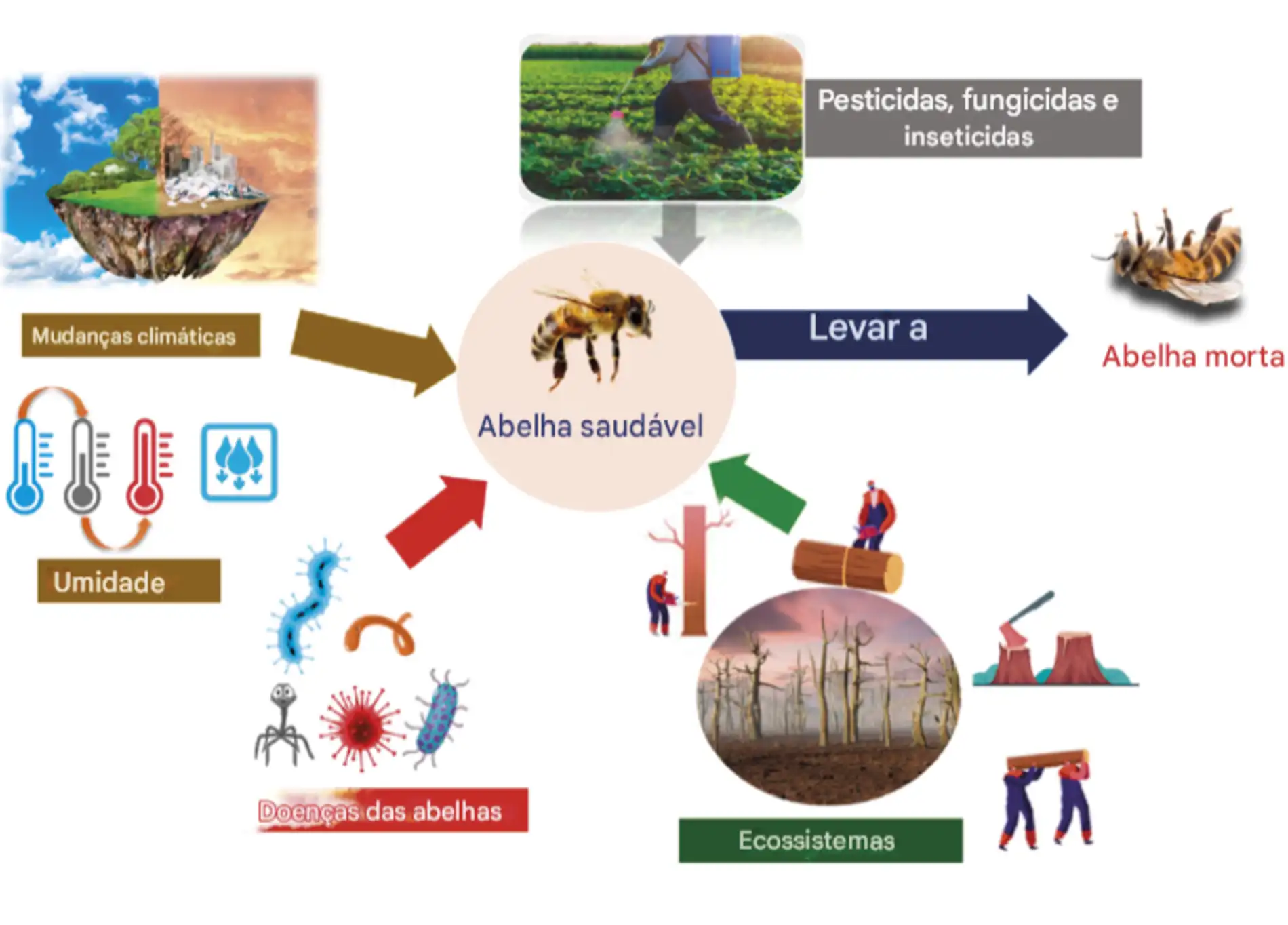 Desafios enfrentados na poliniza o