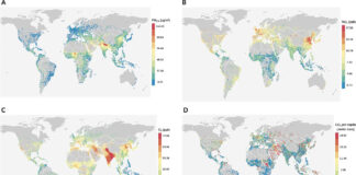 Distribuições globais das concentrações médias anuais ponderadas pela população de PM 2,5 , NO 2 e OSDMA8 (O 3 ) e FFCO 2 per capita em áreas urbanas em 2019 Estudo revela como 13.189 cidades evoluíram em poluição e CO₂, mostrando desigualdades e oportunidades na luta por ar limpo e clima saudável