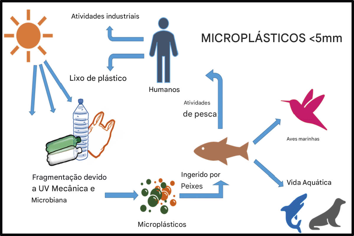 Efeito dos microplásticos na água e nos sistemas aquáticos