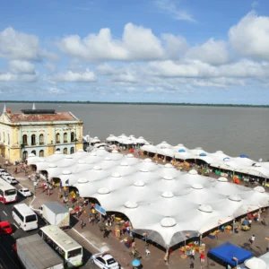 Pesquisa da Aberje revela que 93% das empresas tratam sustentabilidade como prioridade estratégica rumo à COP30.