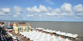 Pesquisa da Aberje revela que 93% das empresas tratam sustentabilidade como prioridade estratégica rumo à COP30.