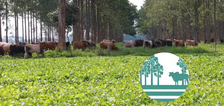 Imagem-hub Embrapa leva inovação ao Matopiba na Agrobalsas 2025