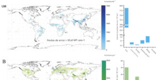 Mapas globais de perdas anuais de produção para três principais culturas alimentares