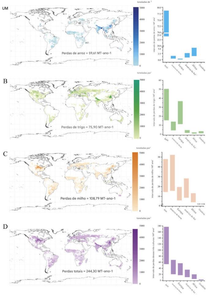 Mapas globais de perdas anuais de produção para três principais culturas alimentares