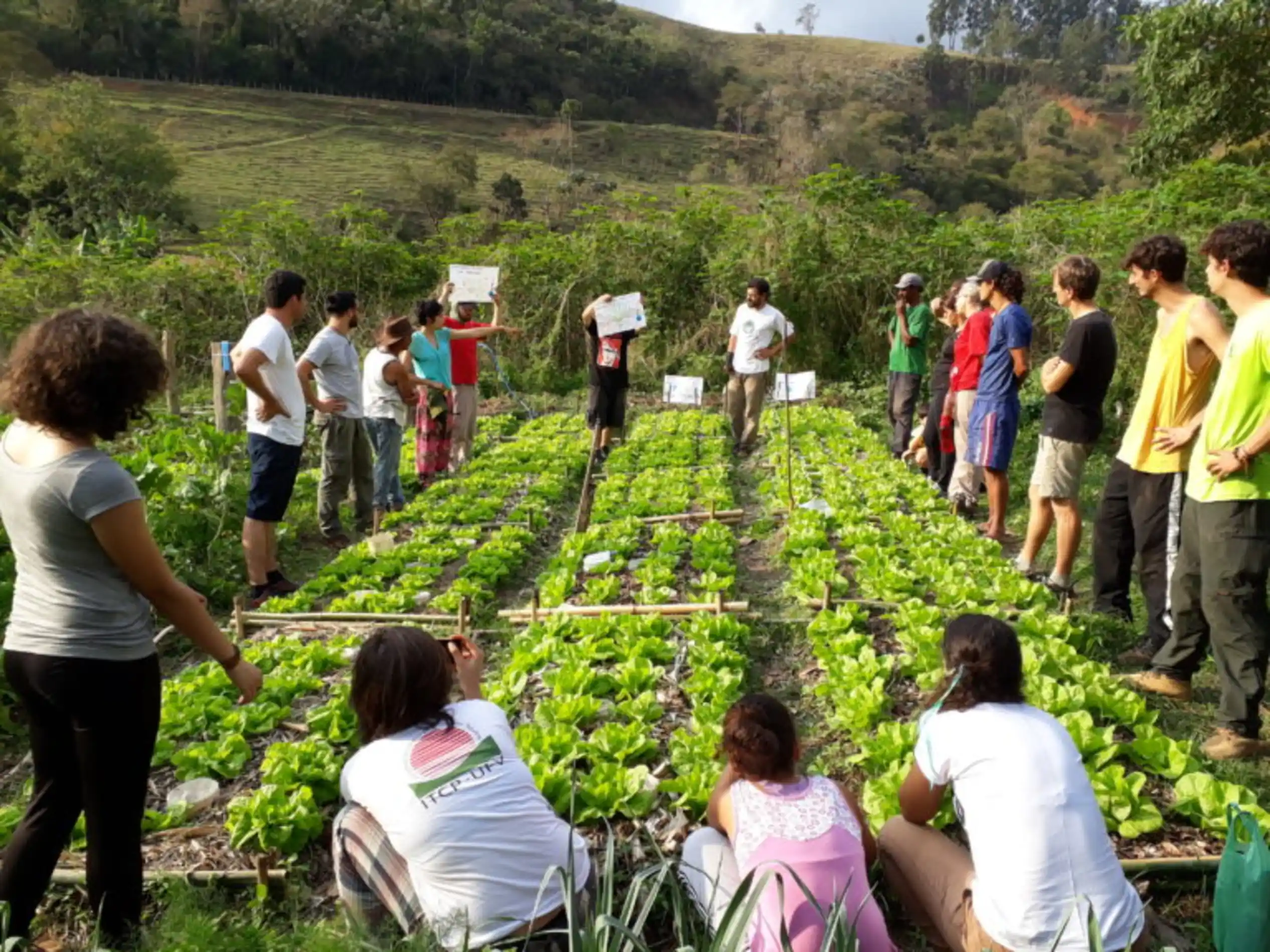 Mutirao-Rede-Raizes-da-Mata-1 Hortas Agroecológicas na Amazônia - Jovens Guardiões da Floresta Cultivam o Futuro