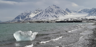 O aquecimento global pode enfraquecer a capacidade dos fiordes árticos de armazenar carbono
