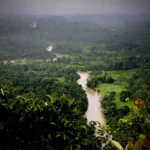 Tecnologia nas mãos dos guardiões da Amazônia