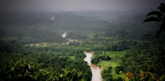 Tecnologia nas mãos dos guardiões da Amazônia