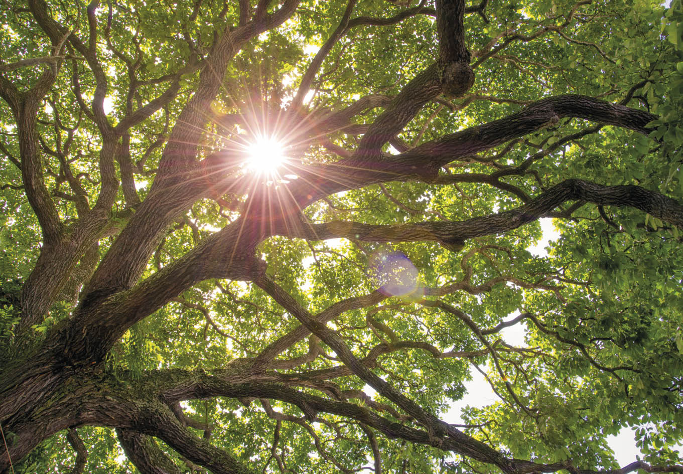 Parque_Nacional_Yasun__no_Equador A preservação da biodiversidade na Amazônia