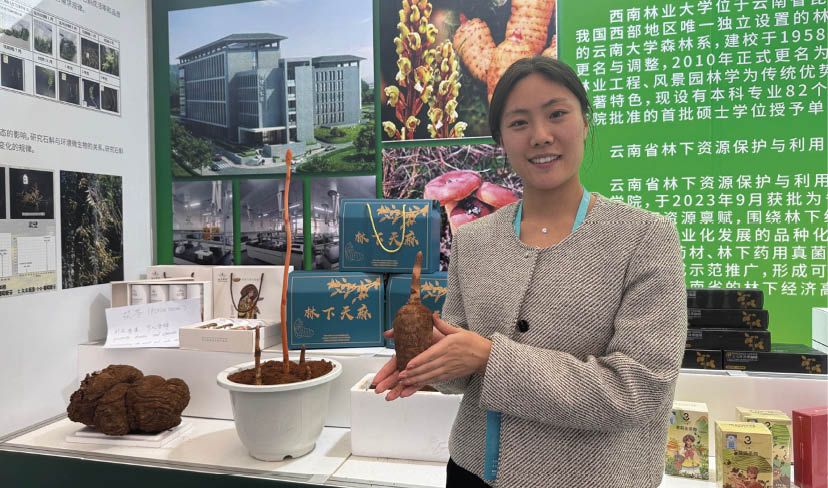 Pesquisadora agrícola exibe um tipo de erva medicinal cultivada com um método agrícola inovador