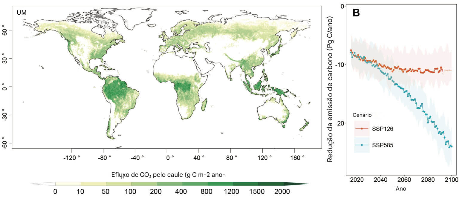 O aquecimento climático NÃO vai ser tão quente 3 Previsão da respiração global do caule agora e no futuro