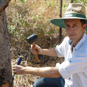 O aquecimento climático NÃO vai ser tão quente Floresta tropical Queensland - costa leste da Austrália