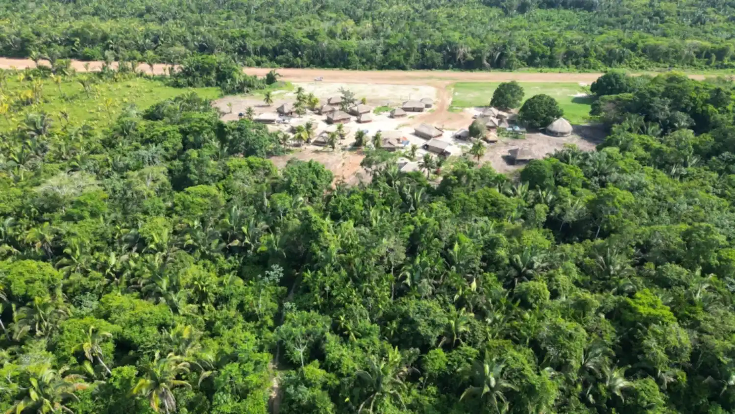 Qual-a-importancia-das-comunidades-tradicionais-para-a-preservacao-da-floresta-apsiscarbon-1 Raízes da floresta, como comunidades tradicionais protegem a Amazônia