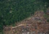 Degradação da Amazônia avança enquanto desmatamento recua Amazônia