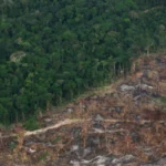 Degradação da Amazônia avança enquanto desmatamento recua Amazônia