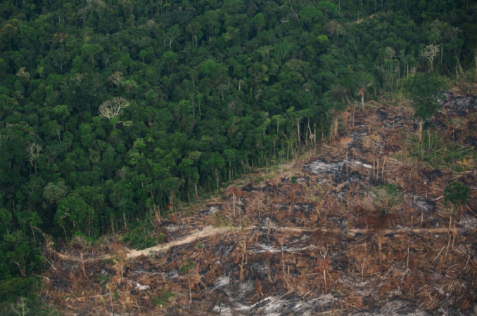 Degradação da Amazônia avança enquanto desmatamento recua 3 Amazônia