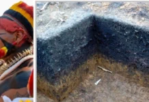 Pesquisa arqueológica de práticas indígenas na fertilização da Amazônia é premiada nos EUA práticas