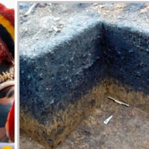 Pesquisa arqueológica de práticas indígenas na fertilização da Amazônia é premiada nos EUA práticas