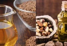 Mistura de óleos vegetais pode revolucionar produção sustentável de bioplásticos bioplásticos