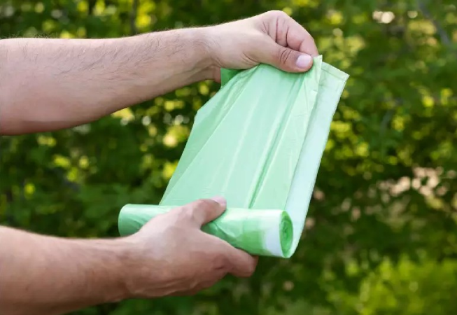 Screenshot-2025-05-27-164827 Mistura de óleos vegetais pode revolucionar produção sustentável de bioplásticos