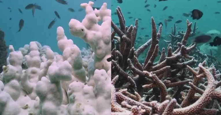 Fenômenos climáticos extremos no Atlântico Sul expõe fragilidade do oceano 3 Atlântico