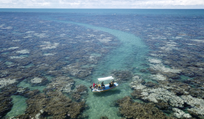 Screenshot-2025-05-28-122059 Fenômenos climáticos extremos no Atlântico Sul expõe fragilidade do oceano
