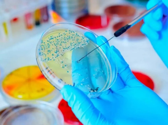 Screenshot 2025 05 28 165614