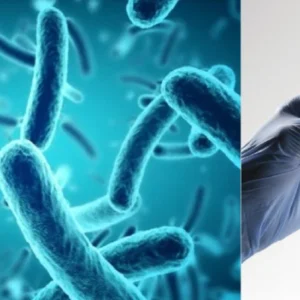 Biotecnologia e microrganismos viabilizam a produção de óleos ecológicos óleos