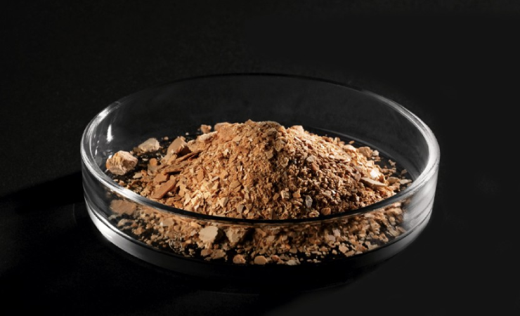 Screenshot 2025 05 28 172220