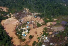 Mineração ilegal de ouro impulsiona crime organizado e ameaça a Amazônia, aponta ONU ouro