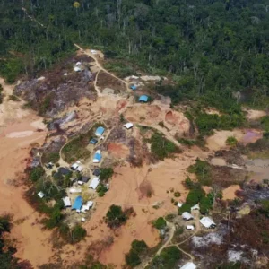 Mineração ilegal de ouro impulsiona crime organizado e ameaça a Amazônia, aponta ONU ouro
