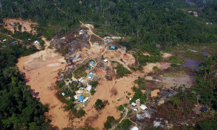 Mineração ilegal de ouro impulsiona crime organizado e ameaça a Amazônia, aponta ONU 3 ouro