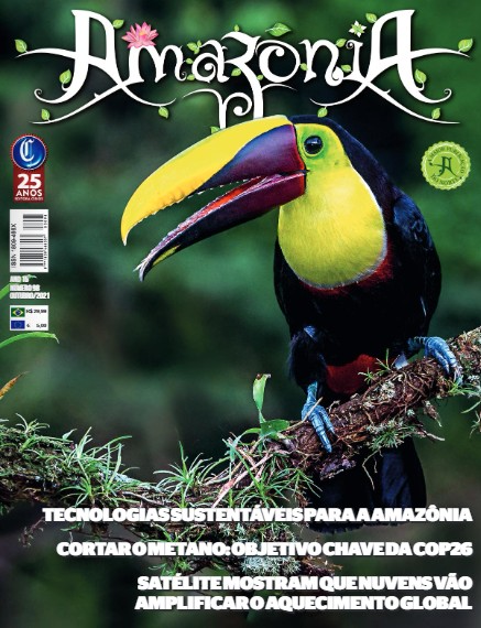 Screenshot-2025-05-29-160302 Revista Amazônia é selecionada para cobertura especial sobre mineração na região Norte