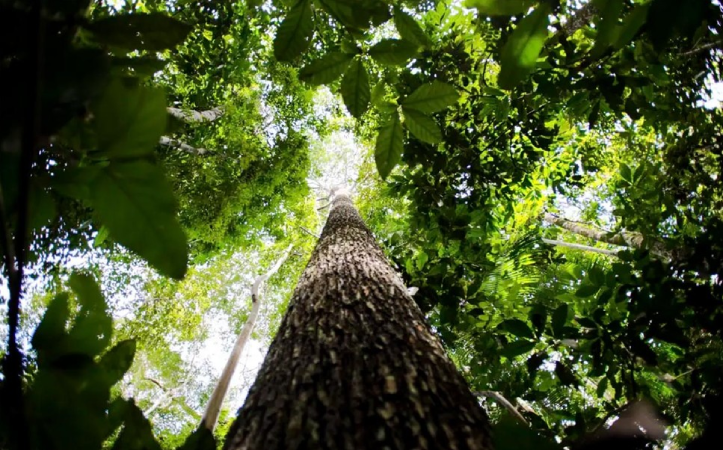 Screenshot 2025 05 29 192618