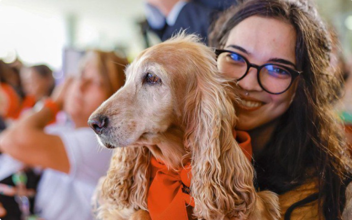 Mais de 620 mil animais já têm RG. Veja como cadastrar seu pet no SinPatinhas 2 SinPatinhas