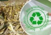 Tecnologia limpa transforma palha de milho em bioprodutos valiosos com alta eficiência palha