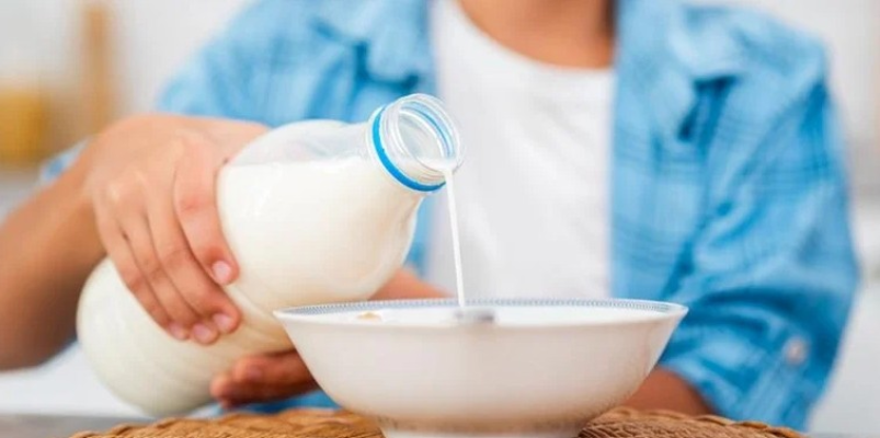 Screenshot-2025-05-30-162334 Startup brasileira usa tecnologia para produzir proteínas do leite sem vacas