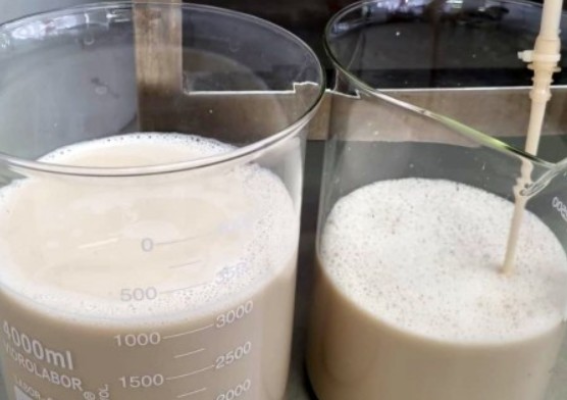 Screenshot-2025-05-30-163301 Startup brasileira usa tecnologia para produzir proteínas do leite sem vacas