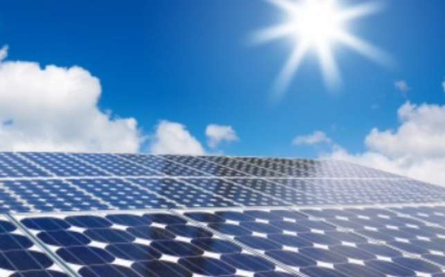 Screenshot-2025-05-30-185950 Pesquisa utiliza fungos promotores de energia renovável para agricultura, construções e biocombustíveis