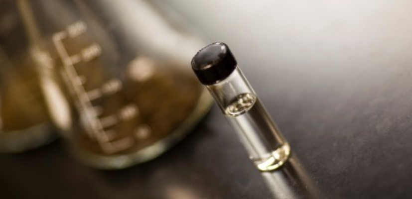 Screenshot-2025-05-30-190245 Pesquisa utiliza fungos promotores de energia renovável para agricultura, construções e biocombustíveis