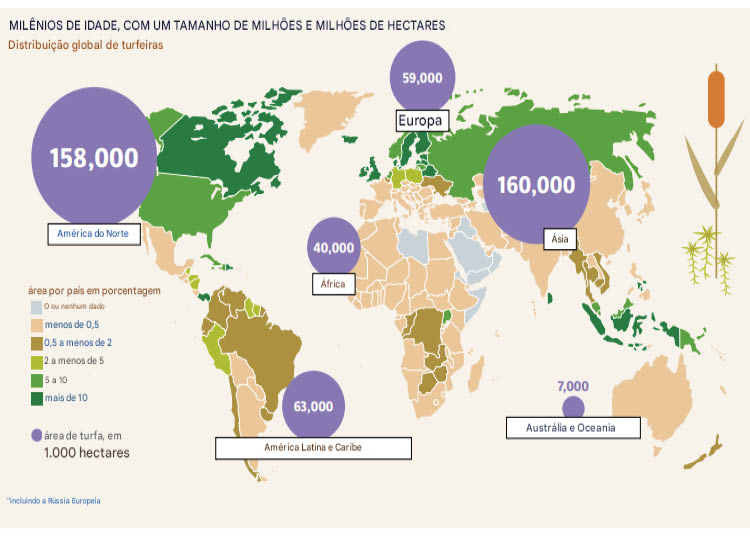 Turfeiras da América do Sul e do mundo