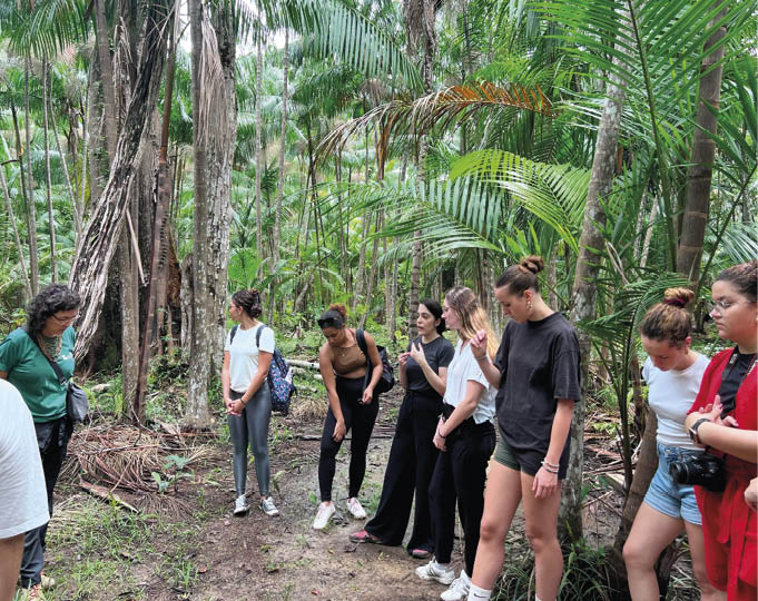 Visitando açaizal nativo na Ilha de Cotijuba