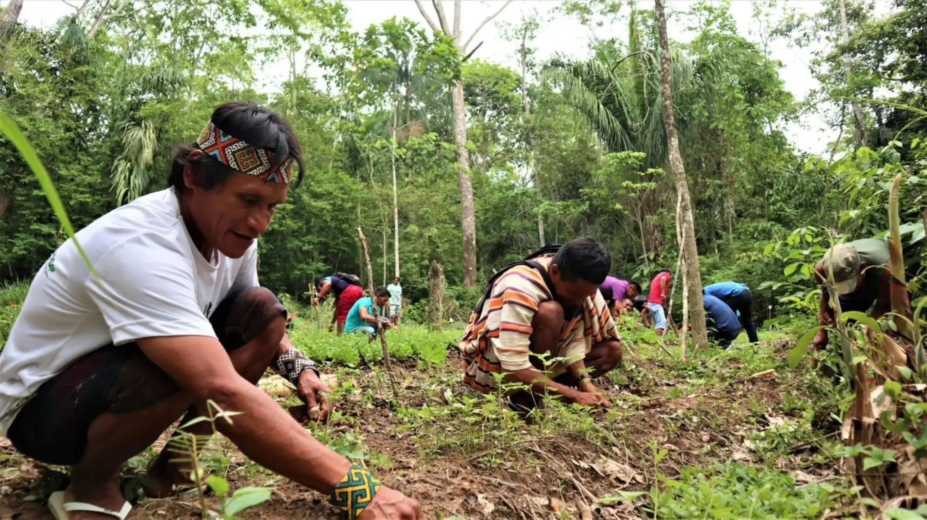 XXVI-Curso-de-AAFIs_Leilane-Marinho-84-1-scaled-1-1536x862-1 Heróis da Floresta - Como Moradores Protegem a Amazônia com Vigilância Ambiental Comunitária