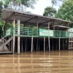 Bioeconomia na Amazônia atrai bilhões Fábrica de chocolate de dona Nena beneficia 16 famílias - Foto: Fabiola Sinimbú/Agência Brasil