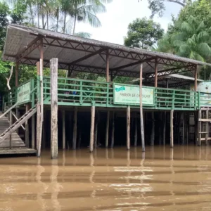 Bioeconomia na Amazônia atrai bilhões Fábrica de chocolate de dona Nena beneficia 16 famílias - Foto: Fabiola Sinimbú/Agência Brasil