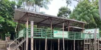 Fábrica de chocolate de dona Nena beneficia 16 famílias - Foto: Fabiola Sinimbú/Agência Brasil