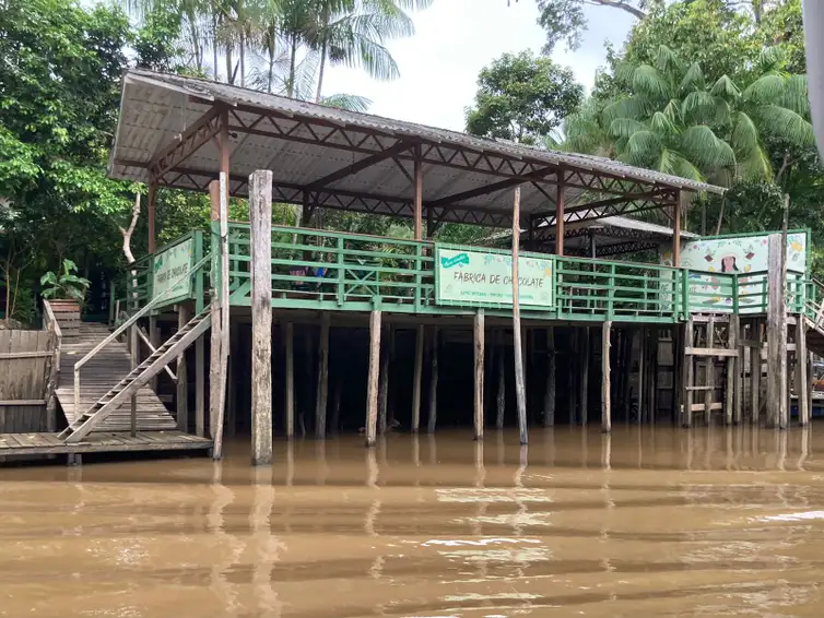 Bioeconomia na Amazônia atrai bilhões 4 Fábrica de chocolate de dona Nena beneficia 16 famílias - Foto: Fabiola Sinimbú/Agência Brasil