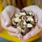 Comunidades do Acre inovam na produção de mudas de castanha-do-pará Acre inova com miniestufas na produção de castanha-do-pará